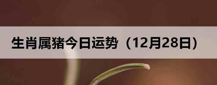 ��Ф�����������ƣ�12��28�գ�