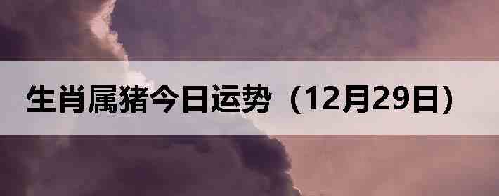 ��Ф�����������ƣ�12��29�գ�