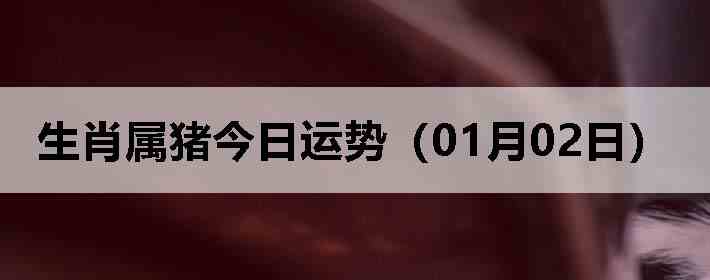 ��Ф�����������ƣ�01��02�գ�