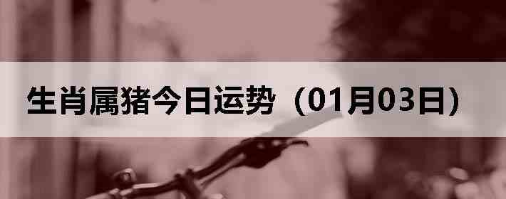 ��Ф�����������ƣ�01��03�գ�