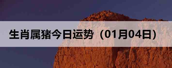 ��Ф�����������ƣ�01��04�գ�