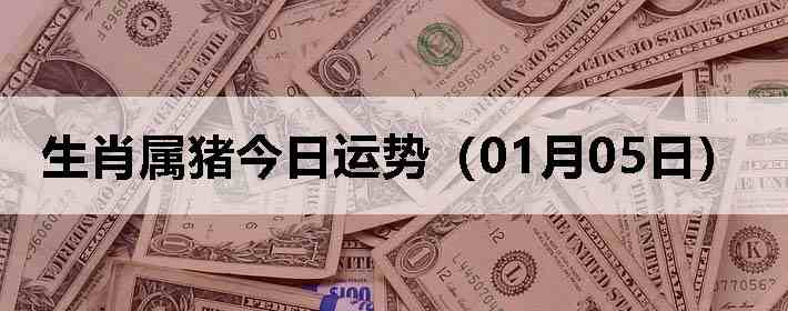 ��Ф�����������ƣ�01��05�գ�