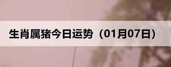 ��Ф�����������ƣ�01��07�գ�