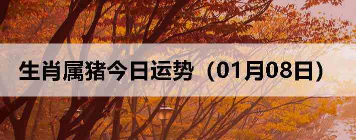 ��Ф�����������ƣ�01��08�գ�