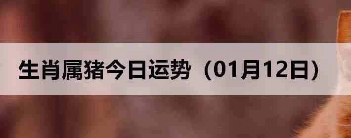 ��Ф�����������ƣ�01��12�գ�