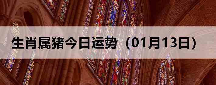 ��Ф�����������ƣ�01��13�գ�