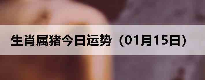 ��Ф�����������ƣ�01��15�գ�