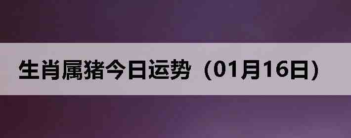 ��Ф�����������ƣ�01��16�գ�