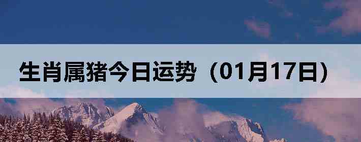 ��Ф�����������ƣ�01��17�գ�