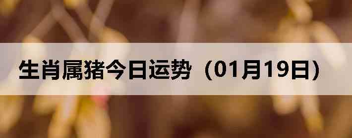 ��Ф�����������ƣ�01��19�գ�