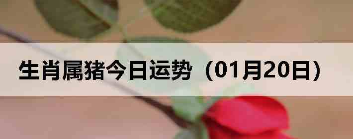 ��Ф�����������ƣ�01��20�գ�