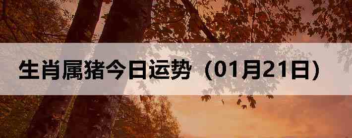 ��Ф�����������ƣ�01��21�գ�