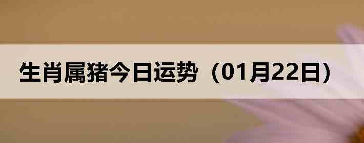 ��Ф�����������ƣ�01��22�գ�