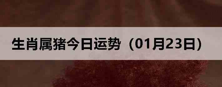 ��Ф�����������ƣ�01��23�գ�