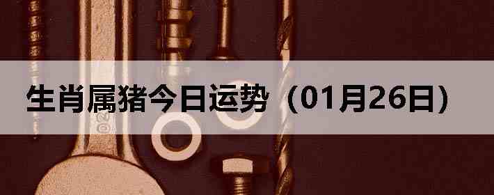 ��Ф�����������ƣ�01��26�գ�