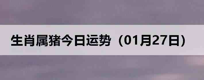 ��Ф�����������ƣ�01��27�գ�