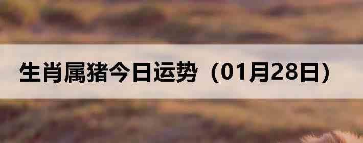 ��Ф�����������ƣ�01��28�գ�