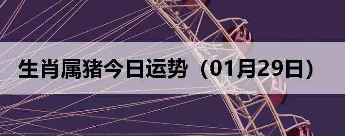 ��Ф�����������ƣ�01��29�գ�