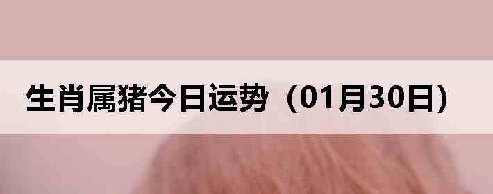 ��Ф�����������ƣ�01��30�գ�