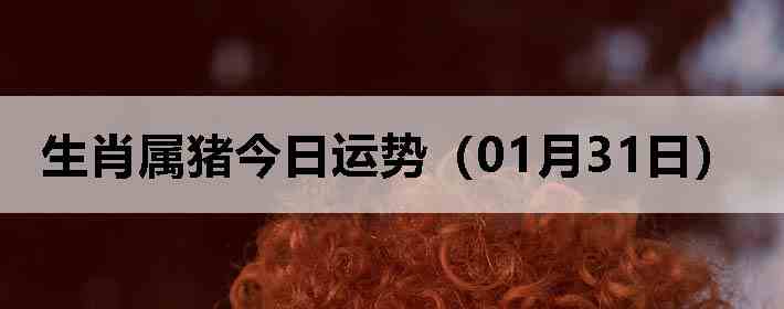 ��Ф�����������ƣ�01��31�գ�