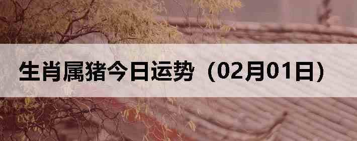 ��Ф�����������ƣ�02��01�գ�