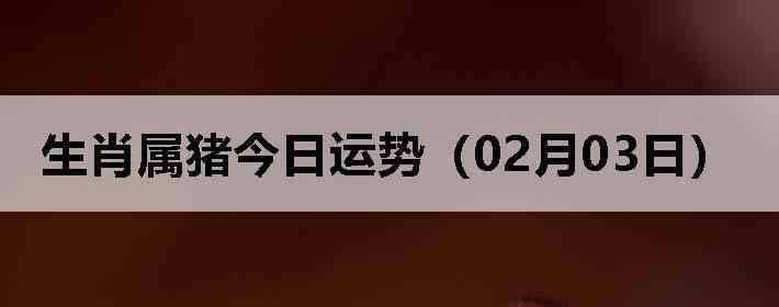 ��Ф�����������ƣ�02��03�գ�