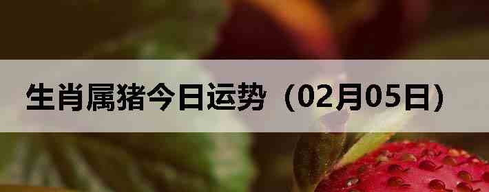 ��Ф�����������ƣ�02��05�գ�