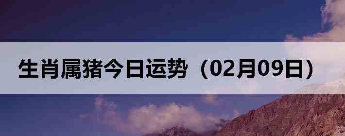 ��Ф�����������ƣ�02��09�գ�