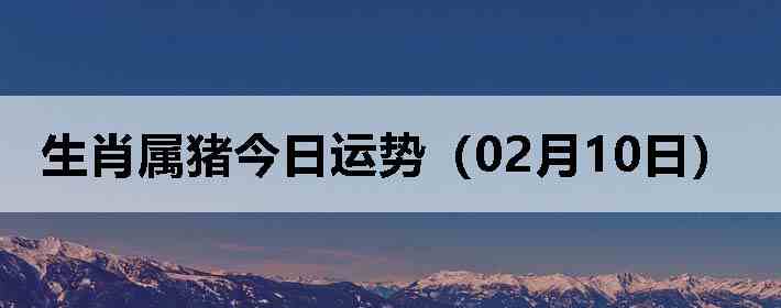 ��Ф�����������ƣ�02��10�գ�