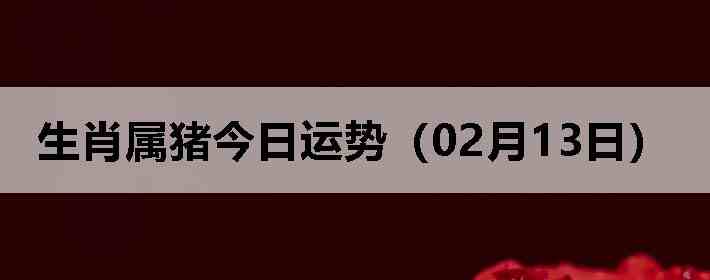 ��Ф�����������ƣ�02��13�գ�