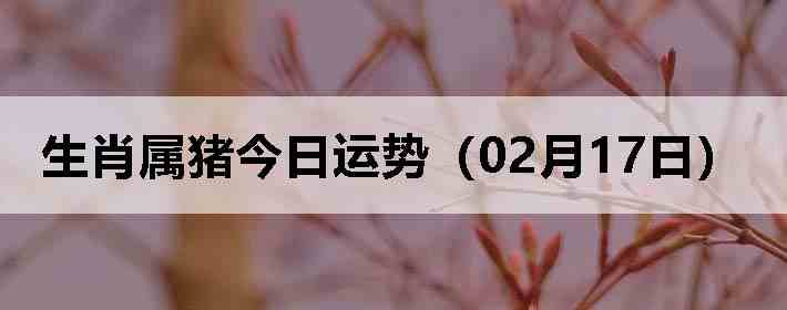 ��Ф�����������ƣ�02��17�գ�