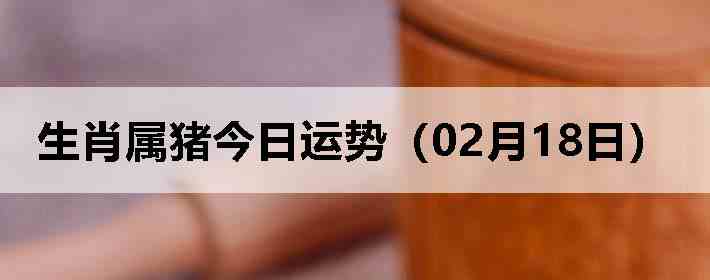 ��Ф�����������ƣ�02��18�գ�