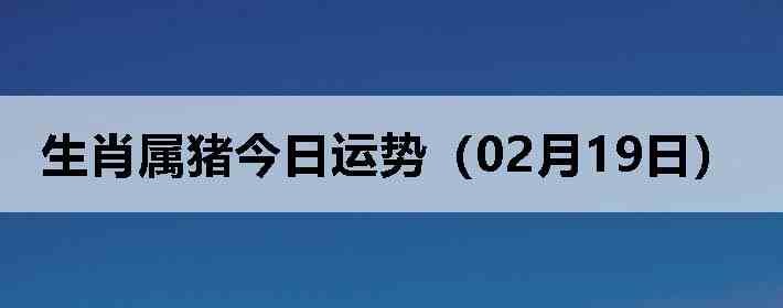 ��Ф�����������ƣ�02��19�գ�