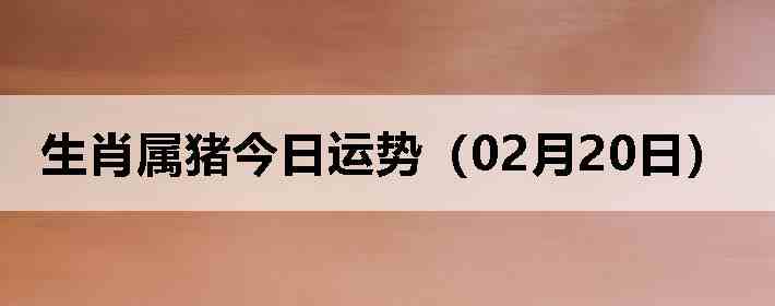 ��Ф�����������ƣ�02��20�գ�