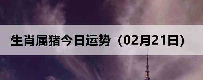 ��Ф�����������ƣ�02��21�գ�