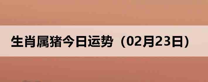 ��Ф�����������ƣ�02��23�գ�