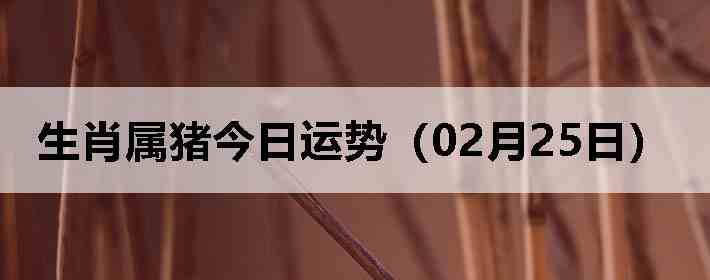 ��Ф�����������ƣ�02��25�գ�