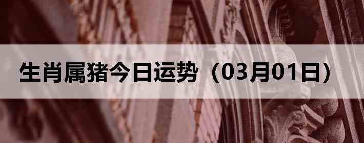 ��Ф�����������ƣ�03��01�գ�