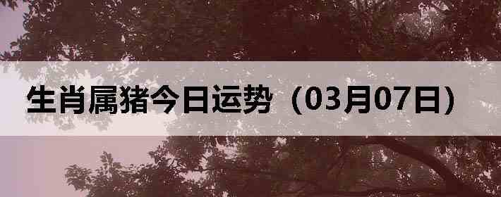 ��Ф�����������ƣ�03��07�գ�