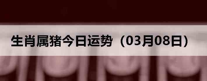 ��Ф�����������ƣ�03��08�գ�