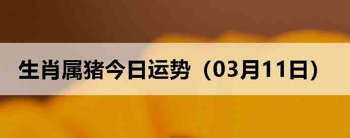 ��Ф�����������ƣ�03��11�գ�