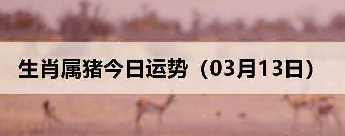 ��Ф�����������ƣ�03��13�գ�