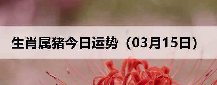 ��Ф�����������ƣ�03��15�գ�