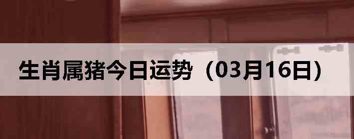 ��Ф�����������ƣ�03��16�գ�