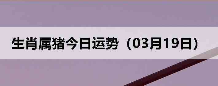 ��Ф�����������ƣ�03��19�գ�