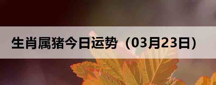 ��Ф�����������ƣ�03��23�գ�