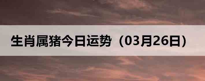 ��Ф�����������ƣ�03��26�գ�
