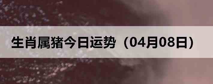 ��Ф�����������ƣ�04��08�գ�