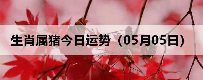 ��Ф�����������ƣ�05��05�գ�