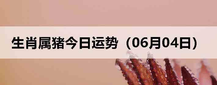 ��Ф�����������ƣ�06��04�գ�